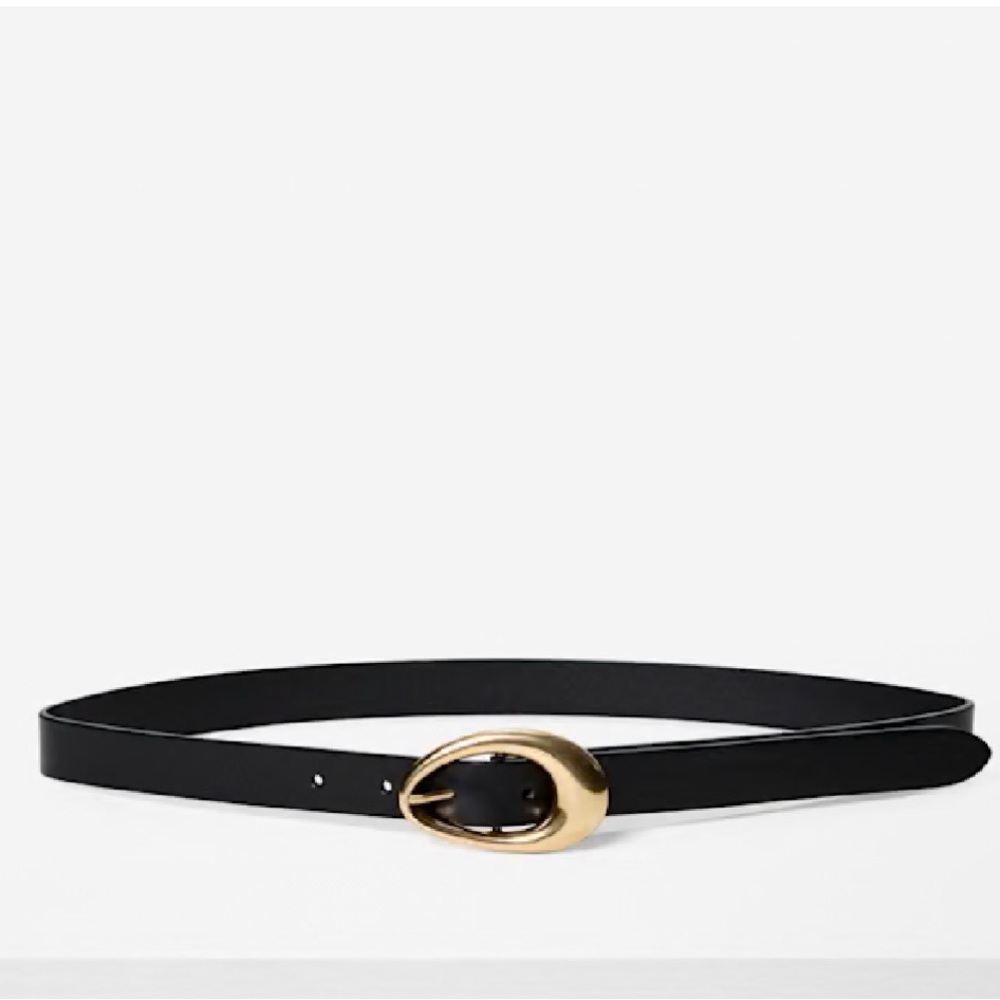 Aritzia Perennial Solid Brass Leather Belt